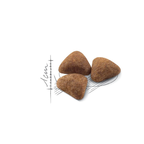 Hrana uscata pentru pisici Royal Canin Indoor 400g